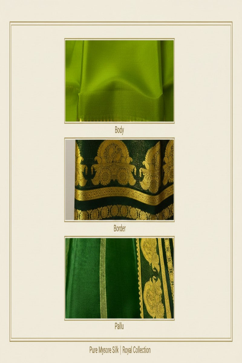 Pure Mysore Silk Olive Green Saree Silk Mark Certified - Royal Collection Detail Card Body Border Pallu